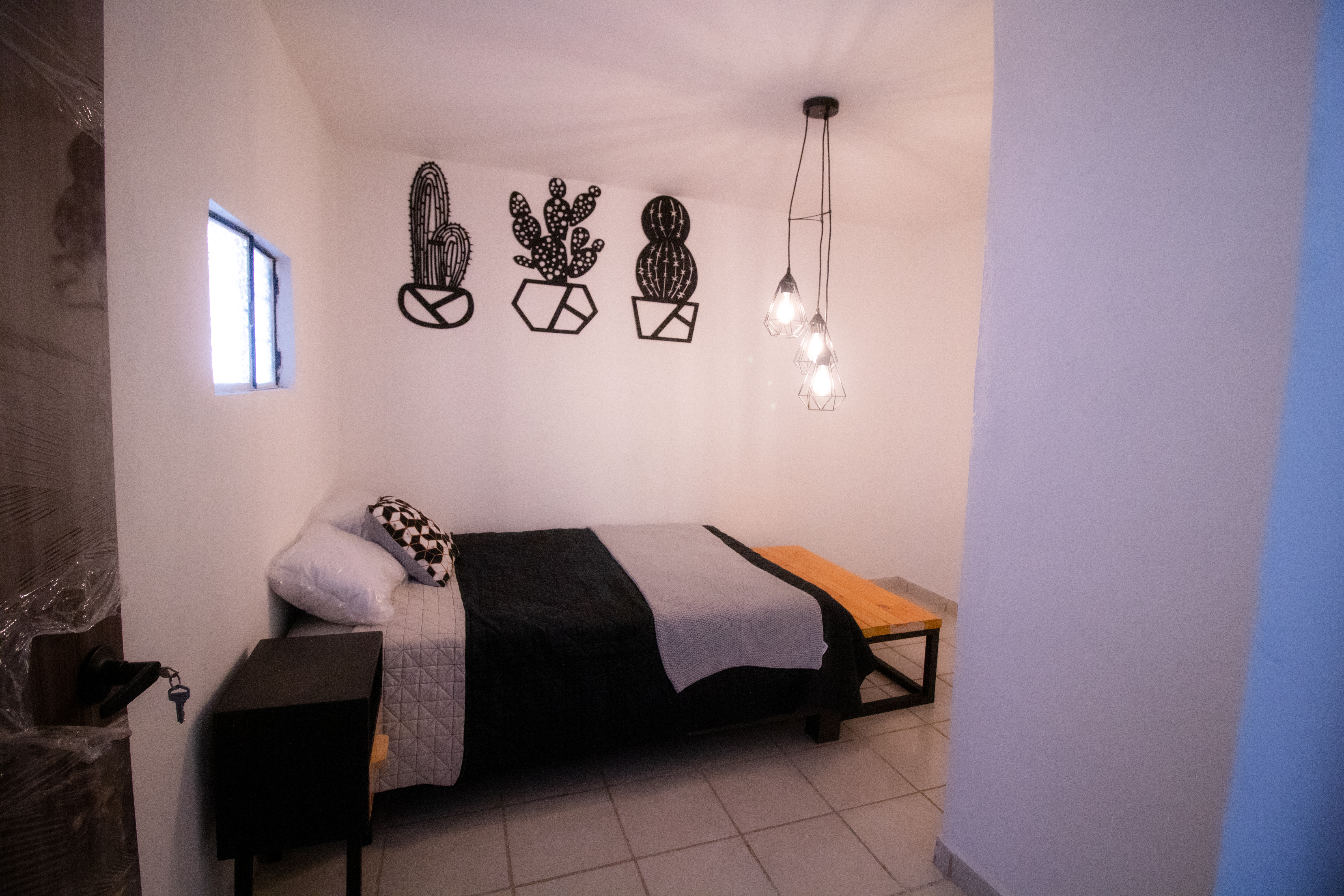 Cuarto Cactus